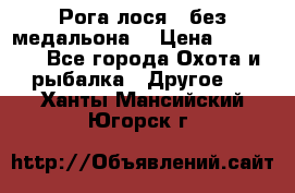 Рога лося , без медальона. › Цена ­ 15 000 - Все города Охота и рыбалка » Другое   . Ханты-Мансийский,Югорск г.